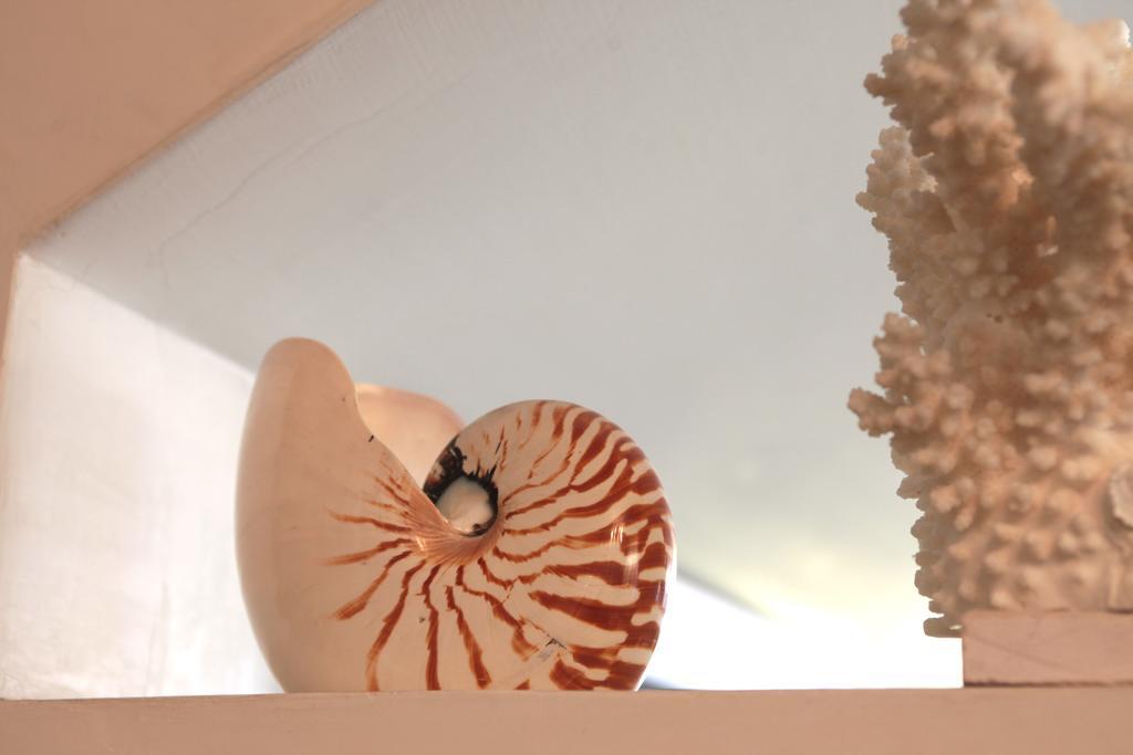 Hotel Nautilus Riccione Zewnętrze zdjęcie